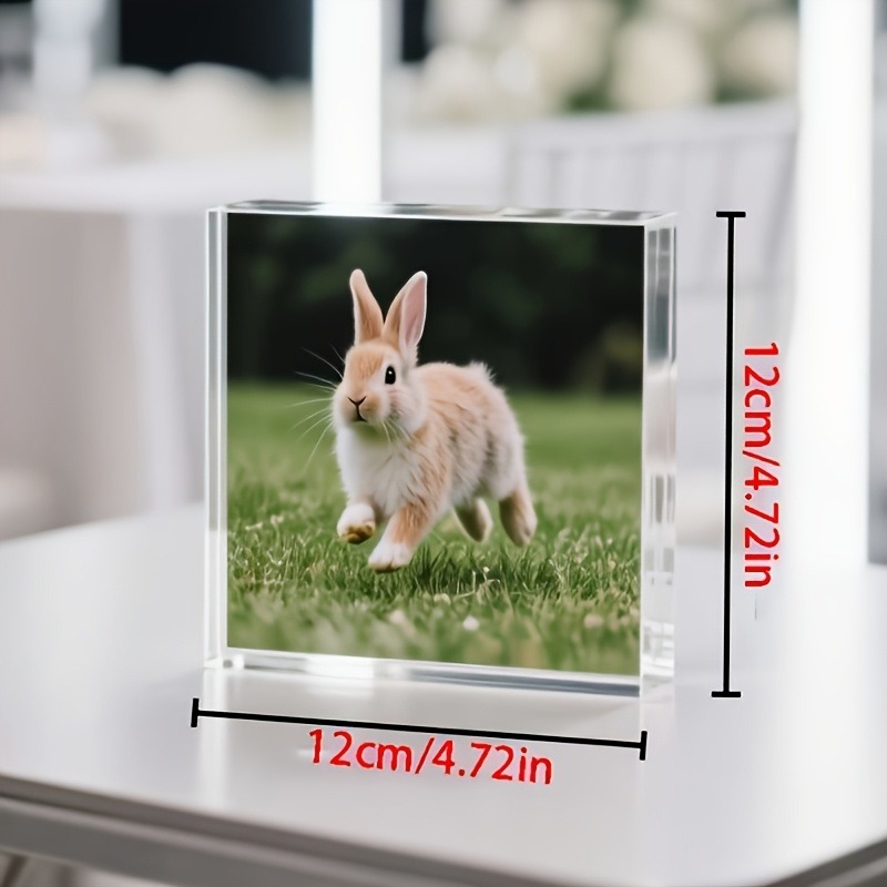 1PC Custom Photo   Acrylic Per - Photo Acrylic Block reseña y precio